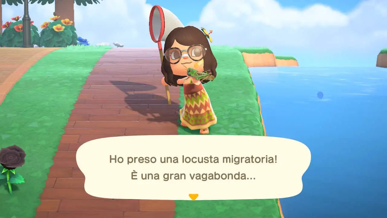 Animal Crossing New Horizons