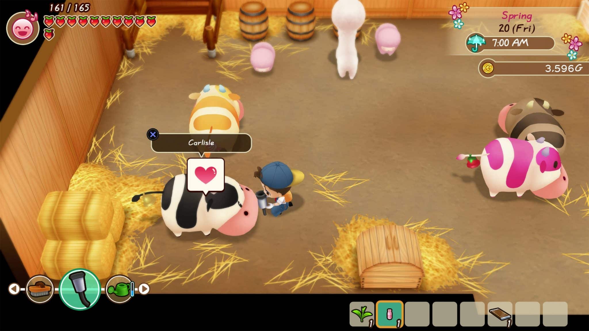 Story of Seasons: Friends of Mineral Town