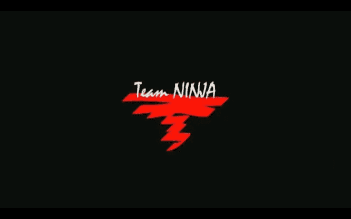 Team ninja