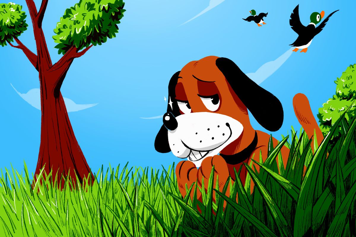Duck hunt su nintendo entertainment system