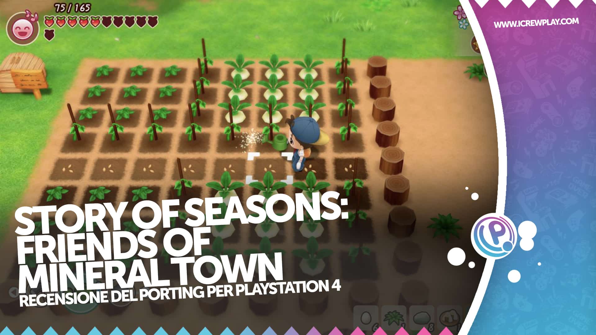 Story of Seasons: Friends of Mineral Town