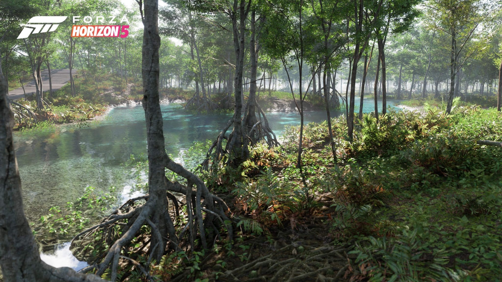 Forza Horizon 5 Recensione foresta