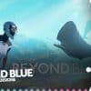 Beyond blue: la nostra recensione