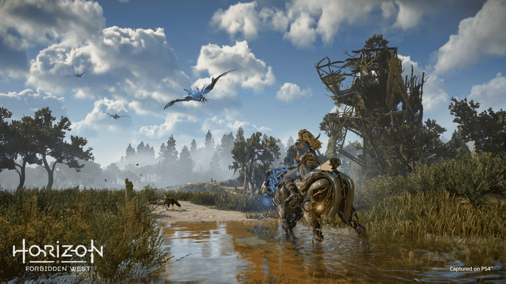 Horizon forbidden west