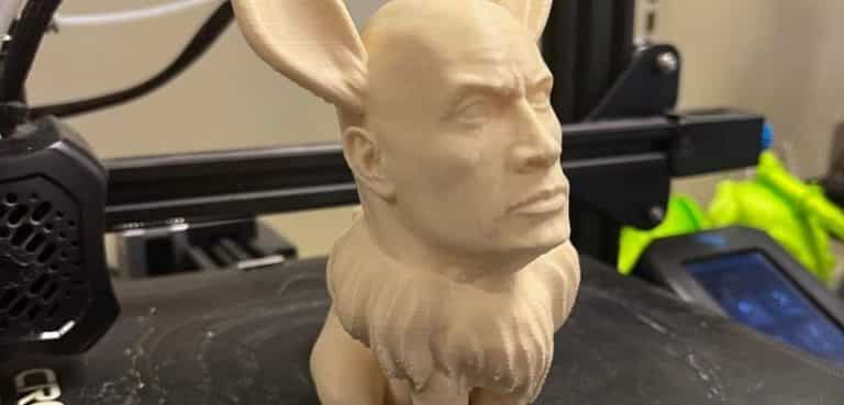 Pokémon: è nato eevee con il volto di the rock!