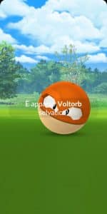 Pokémon GO, debutta Voltorb di Hisui! 1