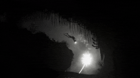 SILT: il successore spirituale di Limbo e Inside