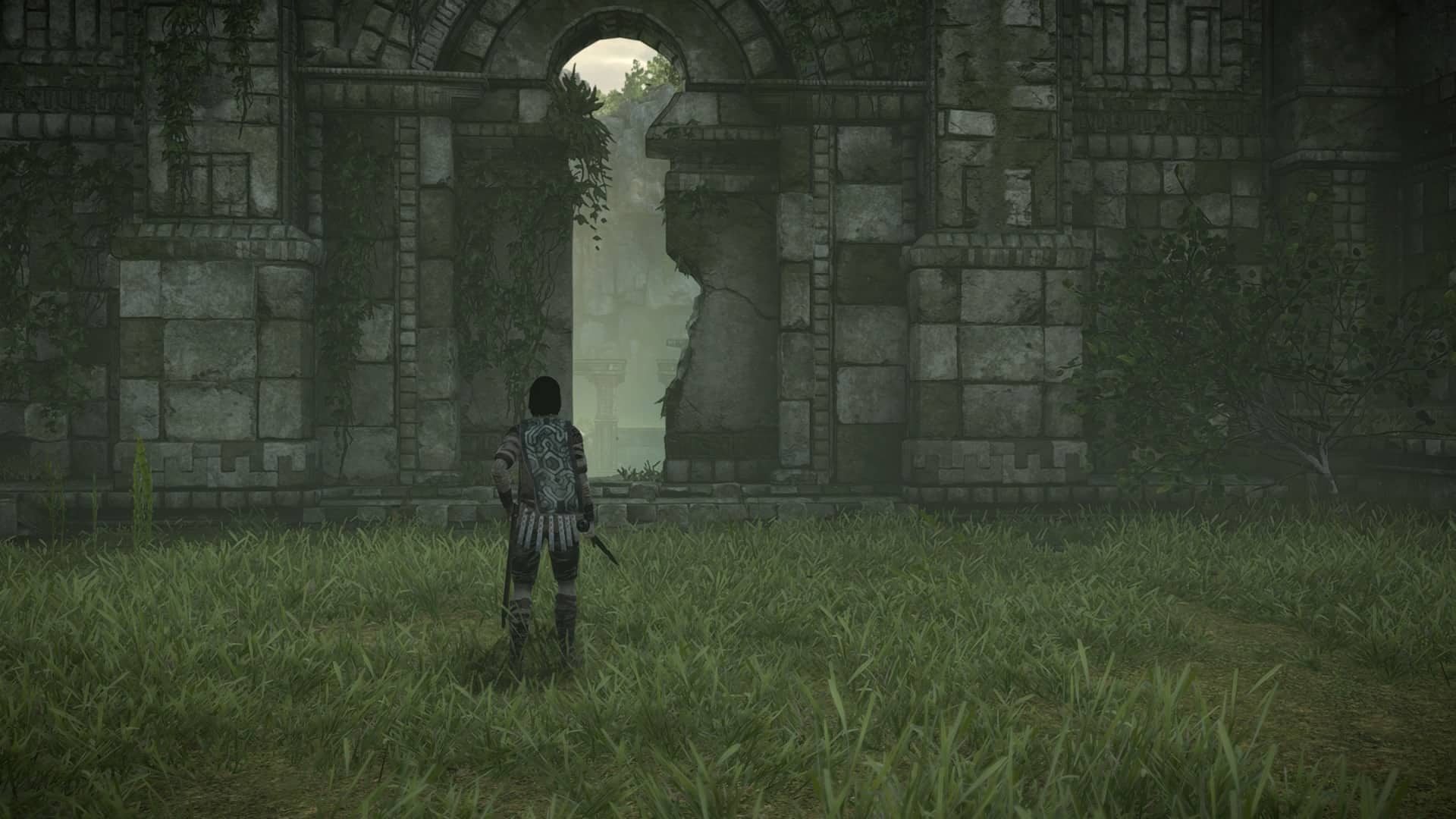 Shadow of the colossus