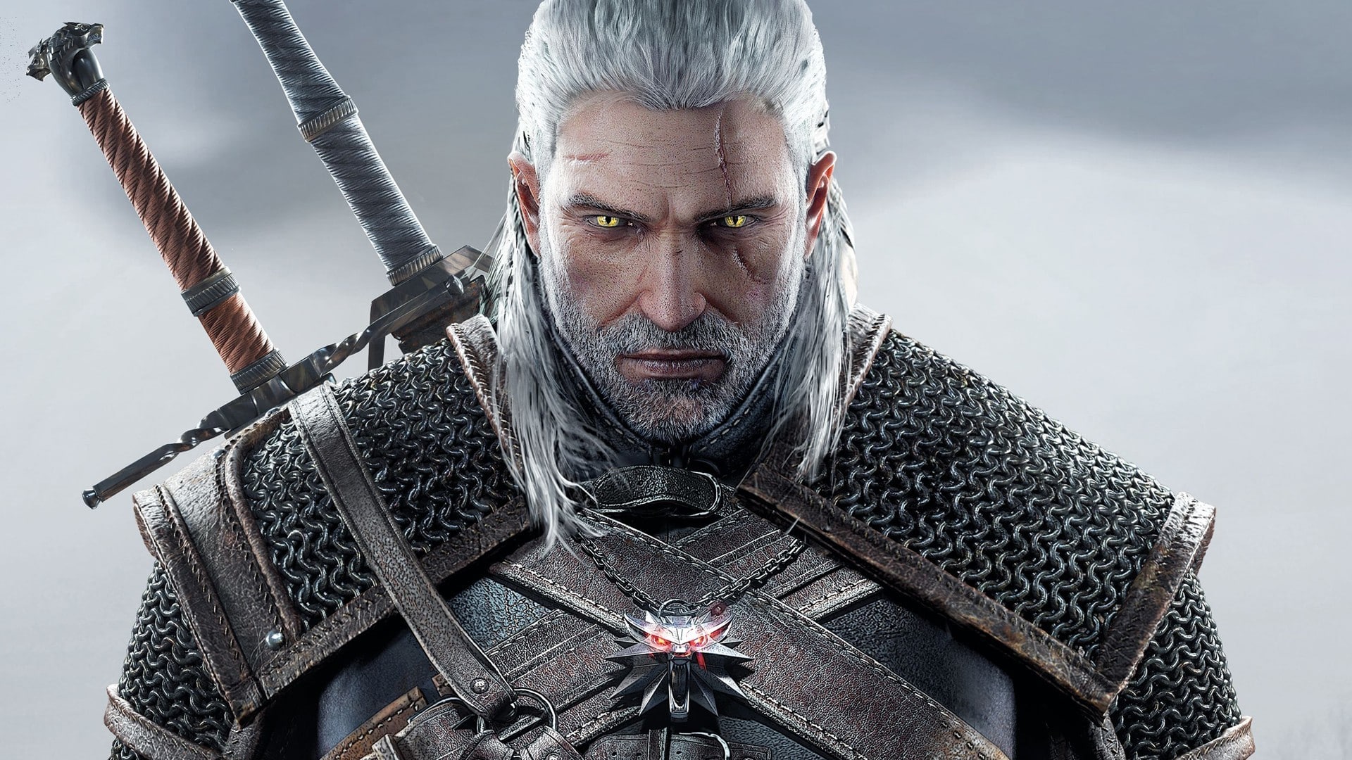 the witcher 