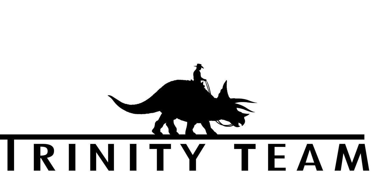 Trinity Team
