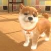Nintendogs secondo un brevetto sta per tornare