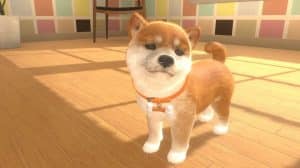 Nintendogs