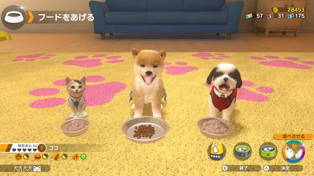 Nintendogs: ritrova una cartuccia di gioco smarrita in una stazione della metro... 2