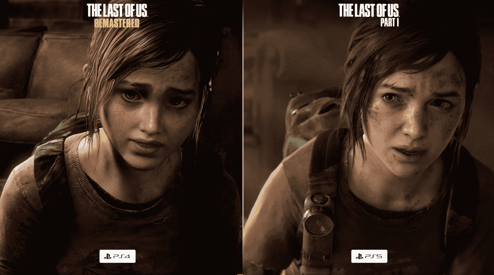 The last of us remake