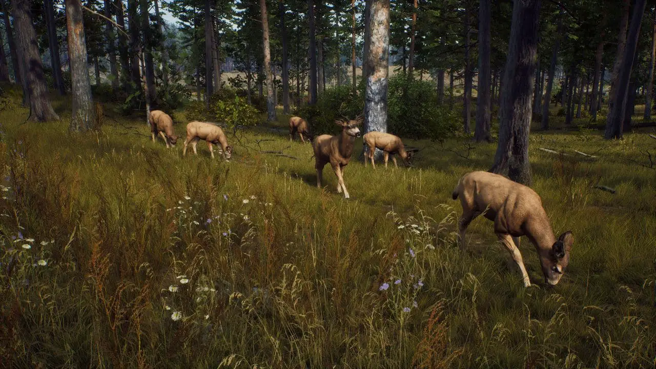 Way of the Hunter ha una data di uscita 2022