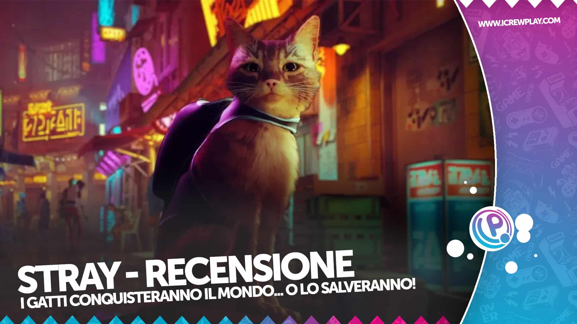 Recensione Stray