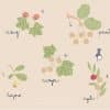 A little to the left: lista degli obiettivi rari