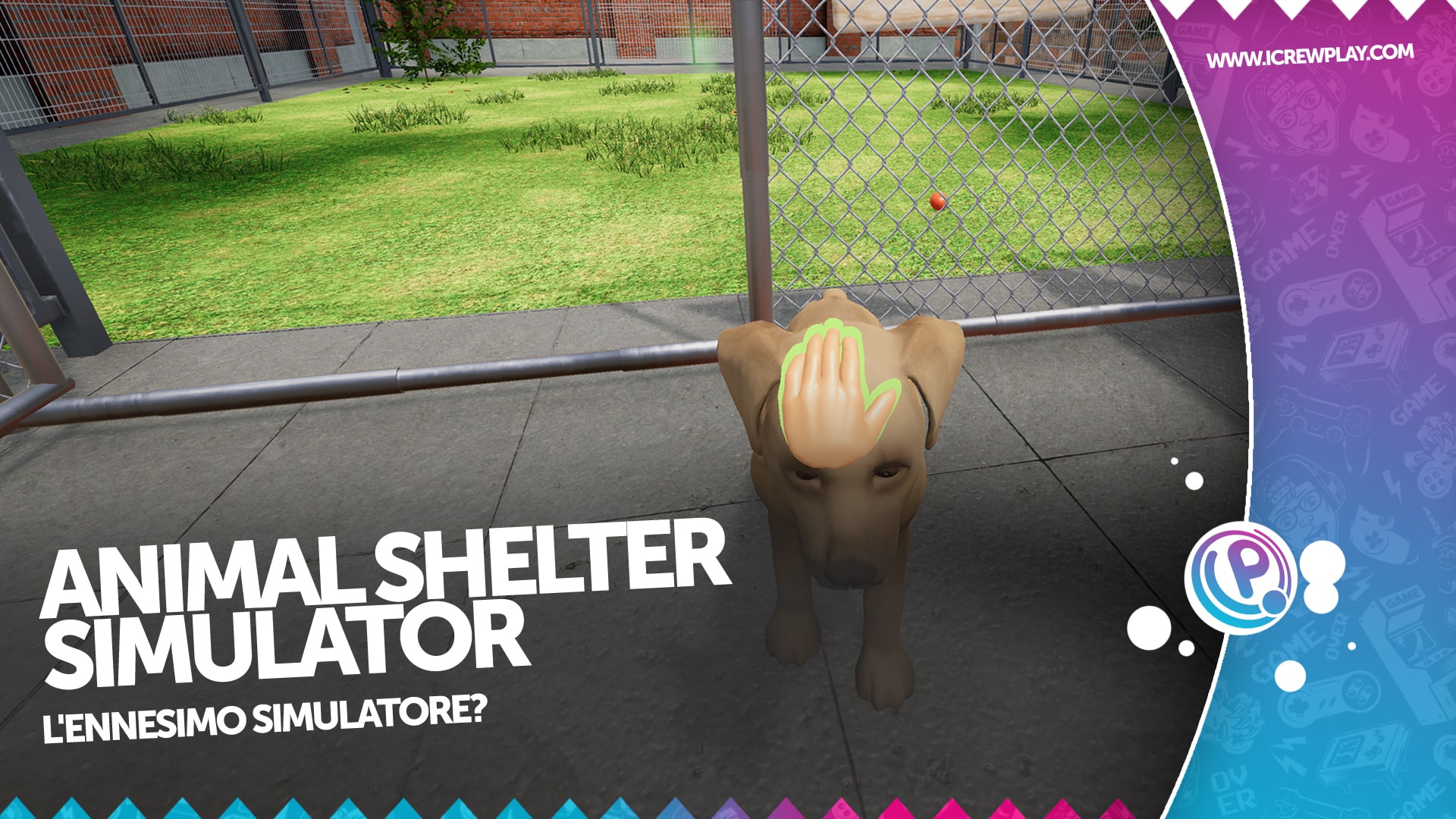 Animal Shelter Simulator: la recensione per Xbox 6