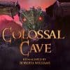 Colossal cave: recensione di un remake vecchia scuola!