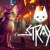 Stray