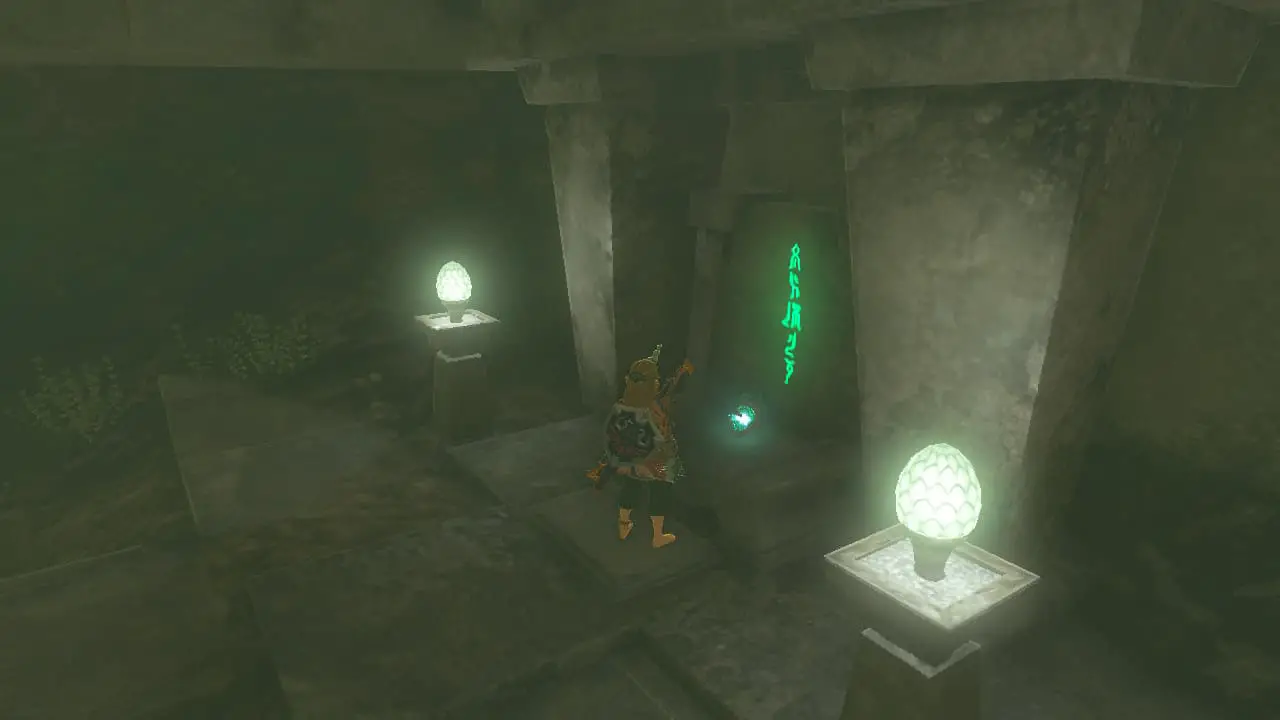 The Legend of Zelda: Tears of the Kingdom guida quinto saggio