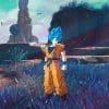 Dragon Ball Budokai Tenkaichi