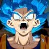 Dragon Ball Budokai Tenkaichi