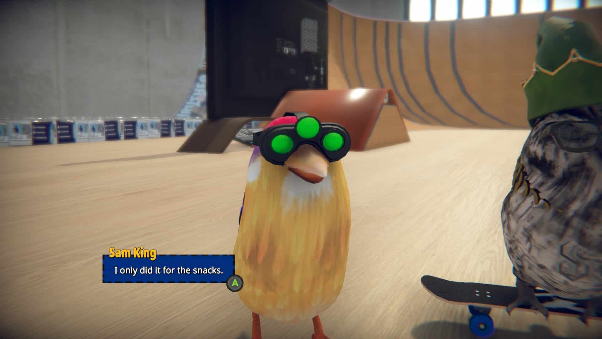 skatebird recensione