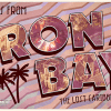 the iron bay shadow gambit cover