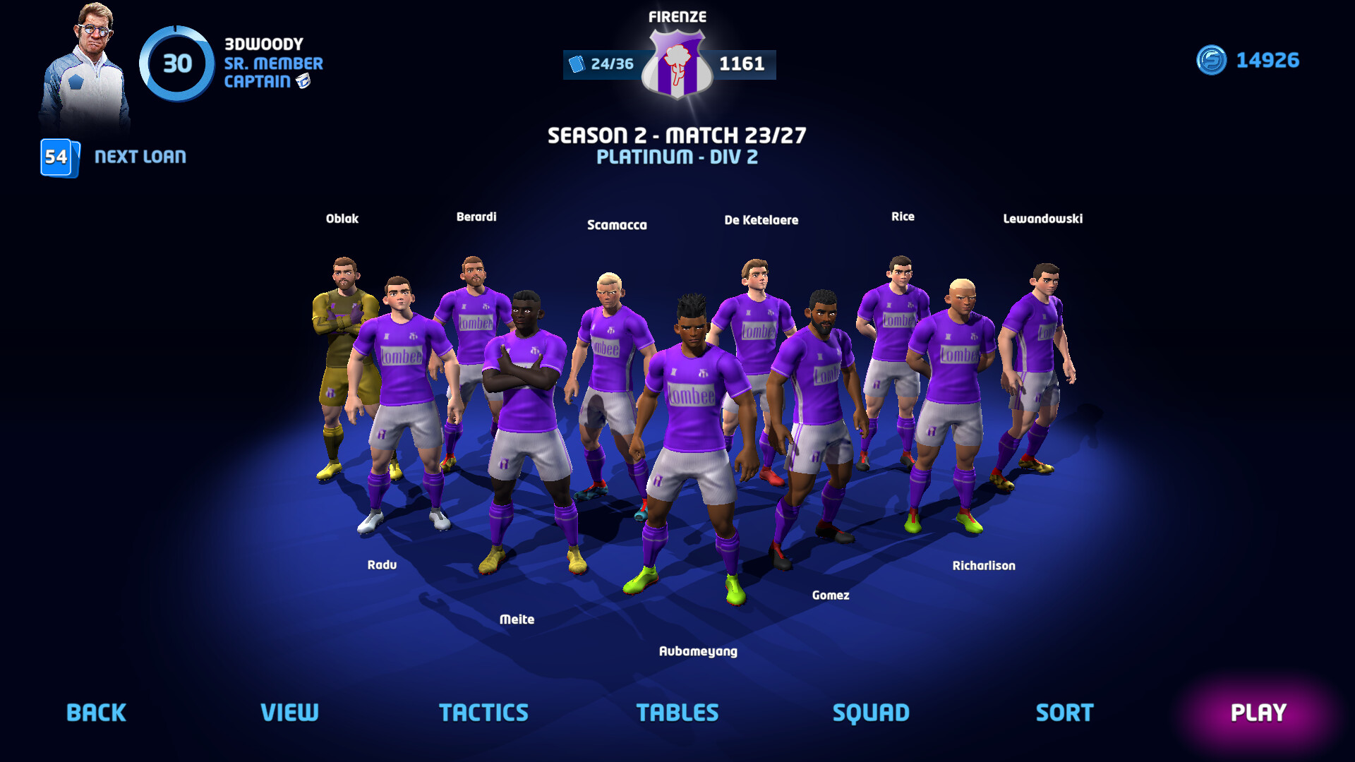 Sociable Soccer 24