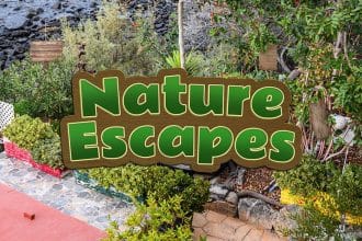 Nature Escapes - Recensione PlayStation 5 6