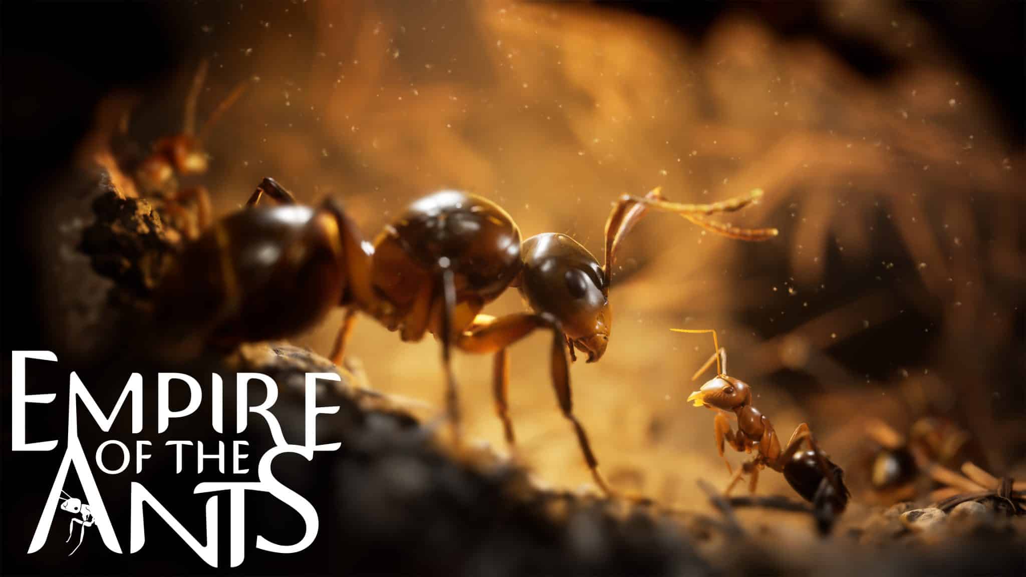 Empire of the ants, annunciato per il 7 novembre con un nuovo trailer Empire of the ants