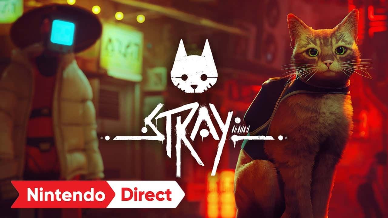 Novità in casa nintendo per stray
