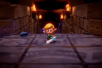 Zelda Echoes of Wisdom