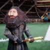 Harry potter: quidditch champions: come sbloccare hagrid per ps1
