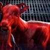 Goat simulator remastered: requisiti minimi e consigliati per la versione pc