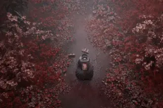 Silent Hill f