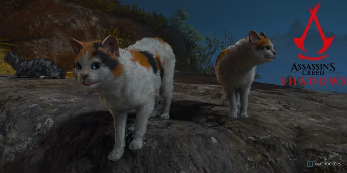 Assassin’s creed shadows: presente il gatto di uno degli sviluppatori