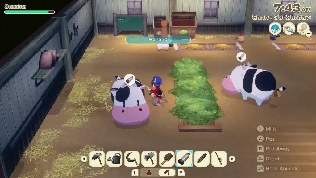 STORY OF SEASONS: Grand Bazaar, la recensione (Nintendo Switch 2) STORY OF SEASONS: Grand Bazaar