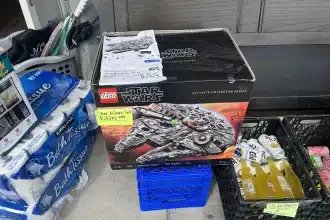 Falcon