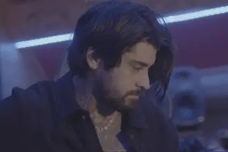 Borderlands 4 Zayn Malik