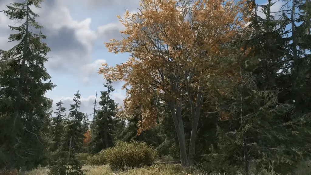 Arma Reforger Update 1.6: l’isola di Kolguyev e Operazione Omega cambiano tutto? Kolguyev