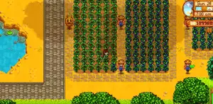 Stardew Valley