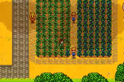 Stardew Valley 1.6 dopo 500 ore scopre la falce che cambia tutto