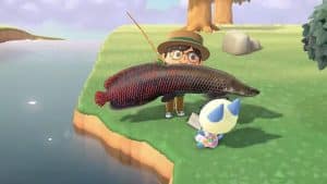 Un fan di Animal Crossing cattura un pesce rarissimo, l’Arapaima, ma lo libera per errore davanti a tutta la community.