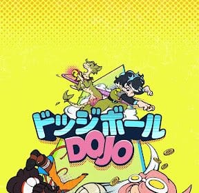 dodgeball dojo