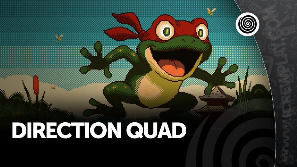 Direction quad, recensione (nintendo switch)