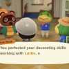 Come si sbloccano l’hotel e resetti in animal crossing: new horizons 3. 0?