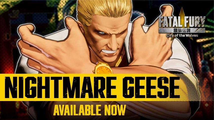 Fatal fury dlc