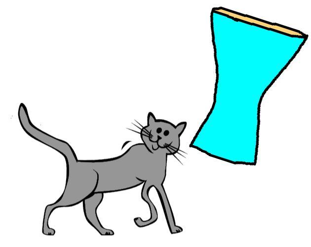 Cat Me If You Can